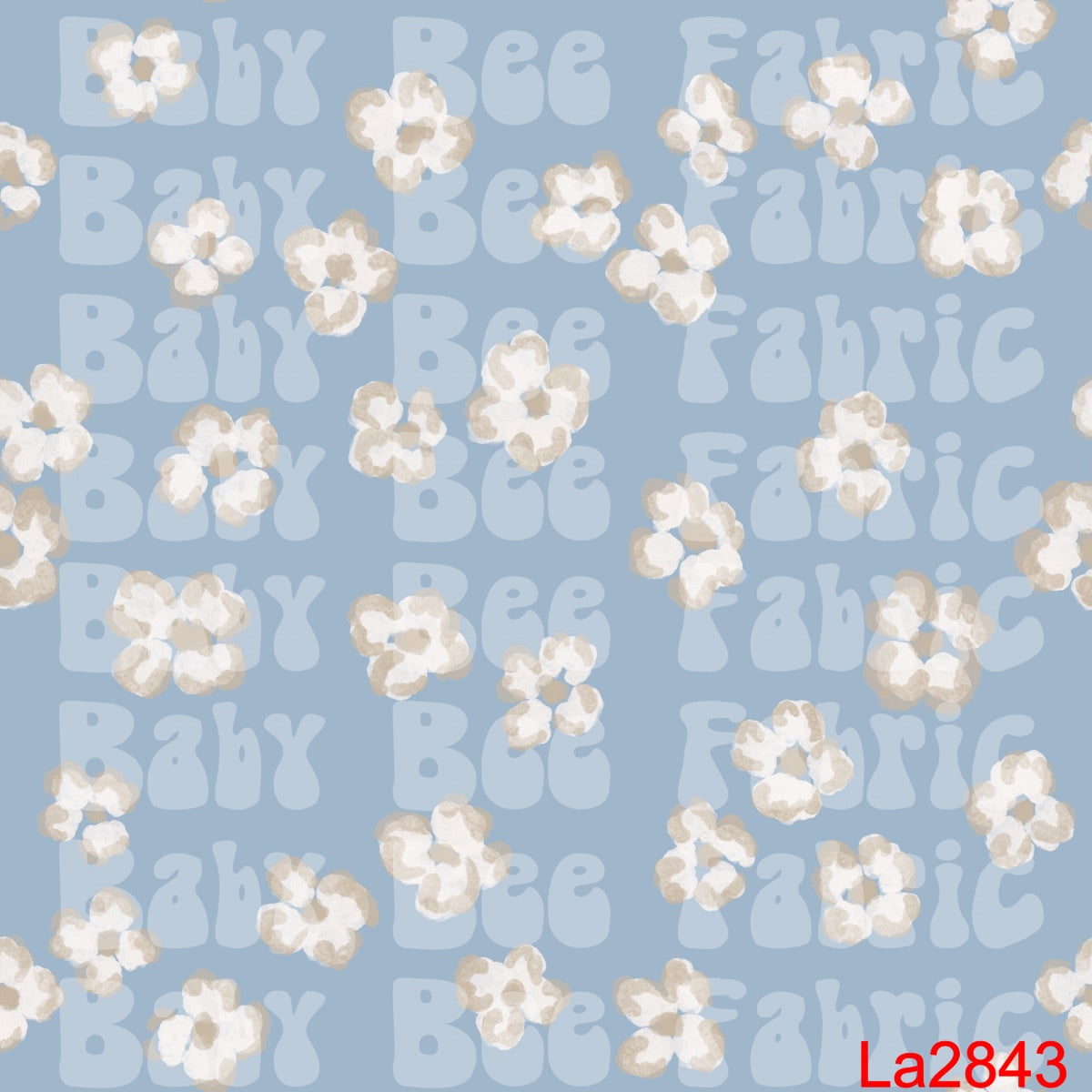 LA2843