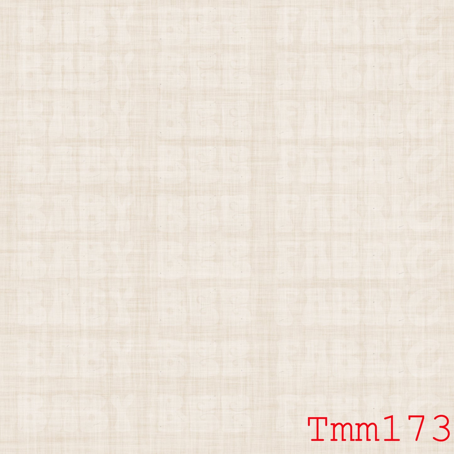 TMM173