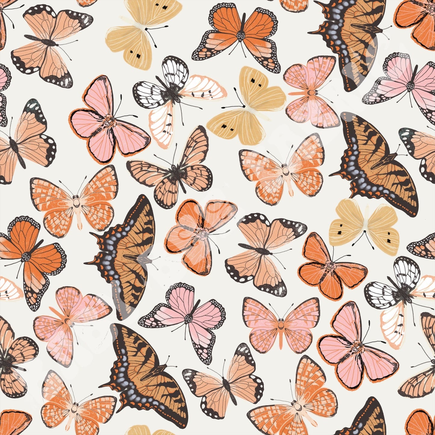 Boho Butterflies