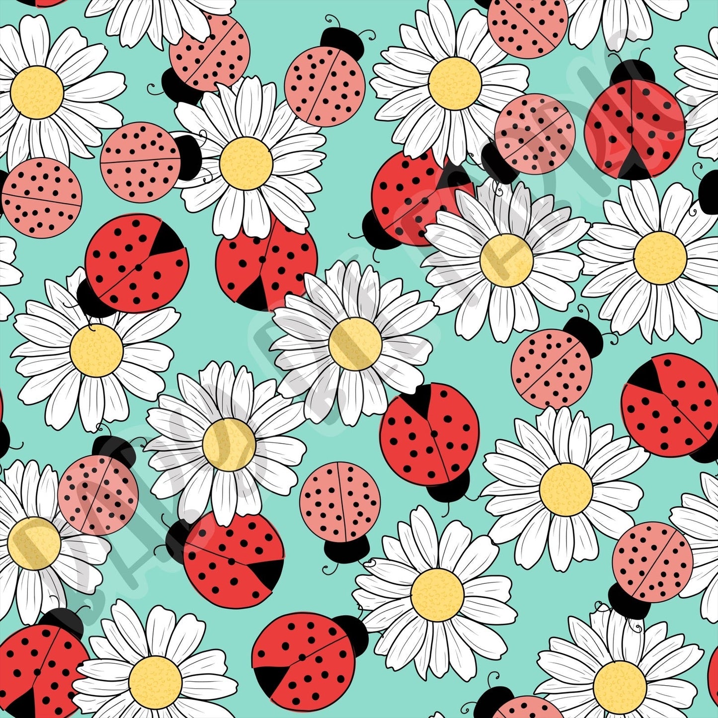 Lady Bug Pre Order