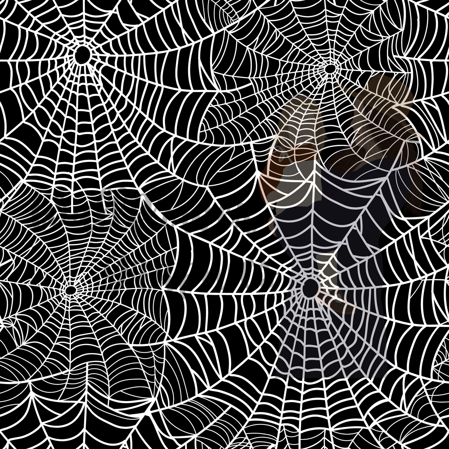 Spider web