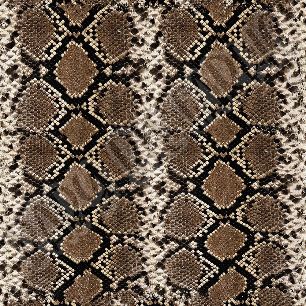 Snake Print Pre Order