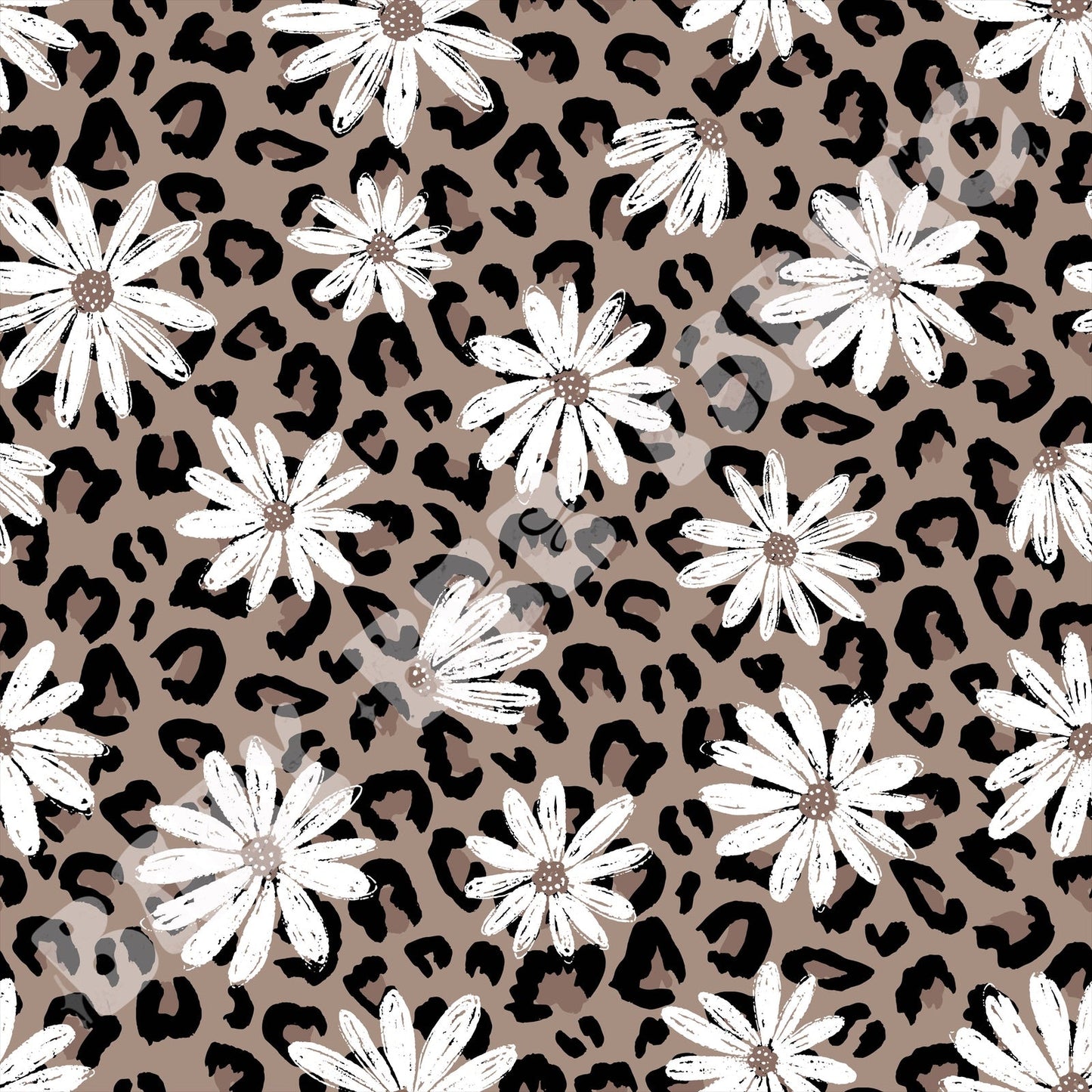 Leopard Daisy