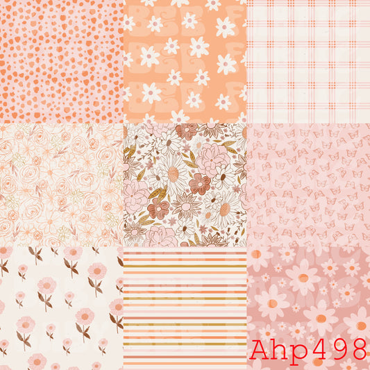 AHP498