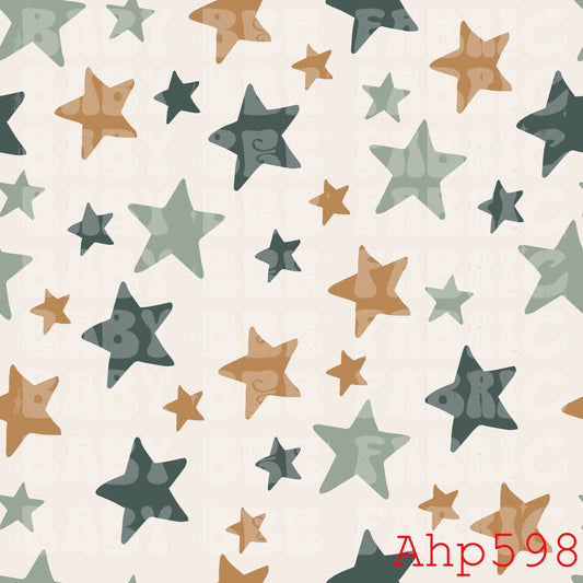 AHP598