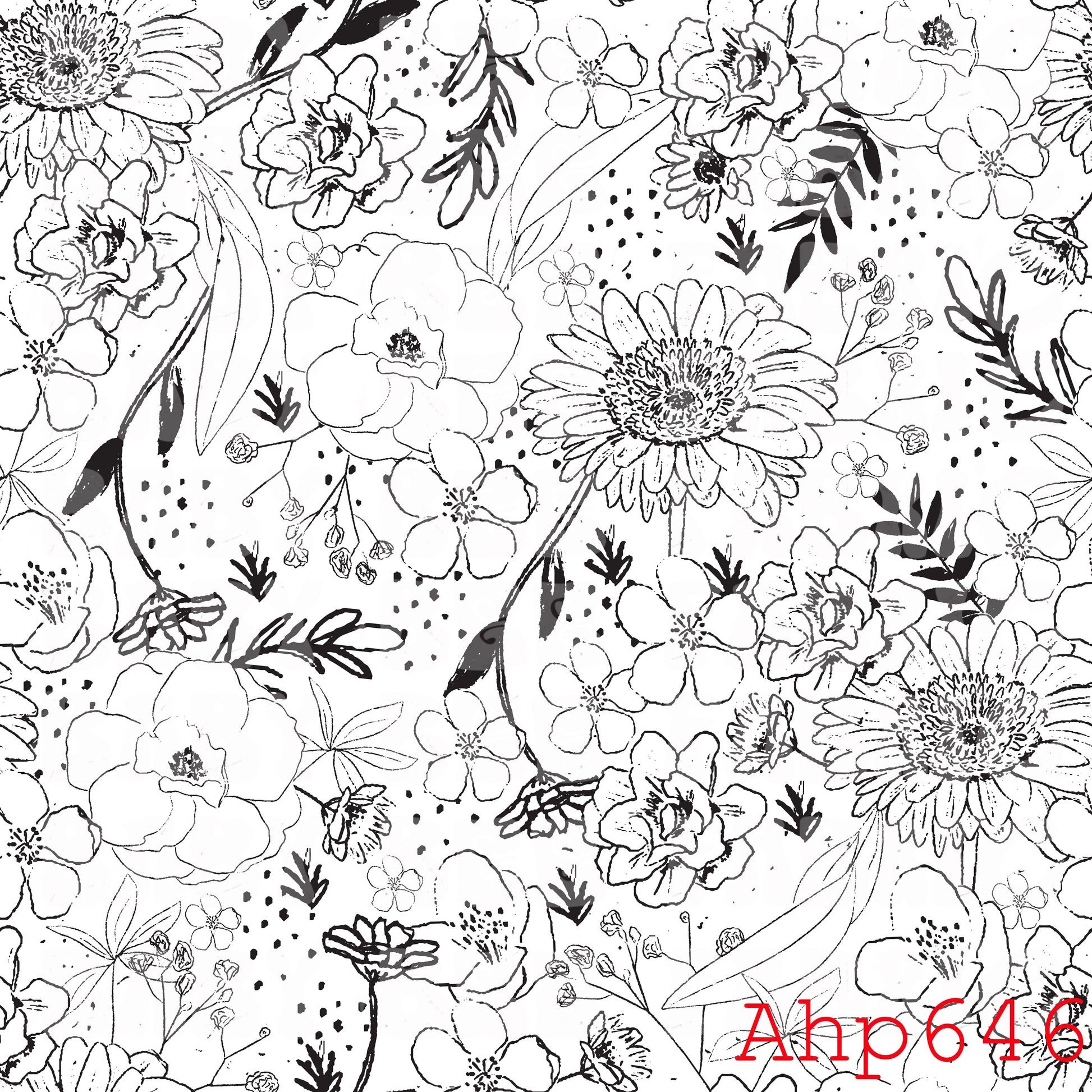 AHP646