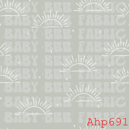 AHP691