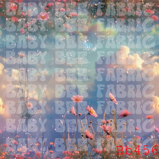 BB456