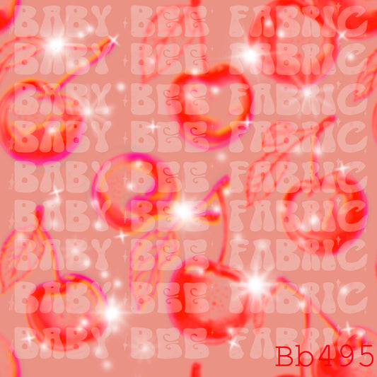 BB495