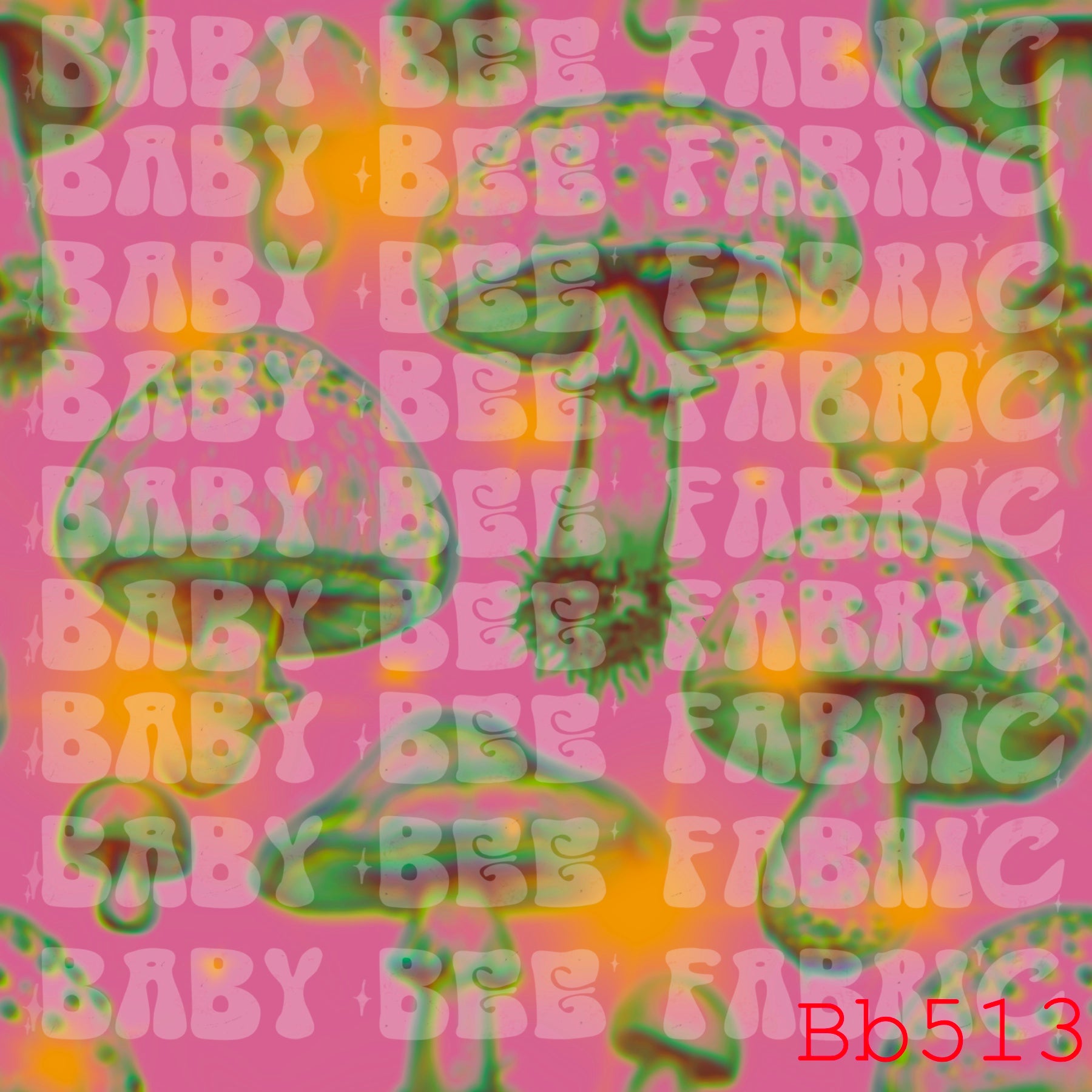 BB513