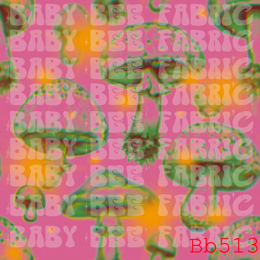 BB513