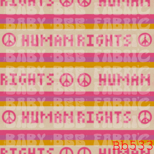 BB533