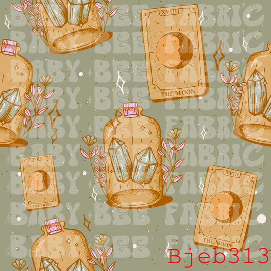 BJEB313