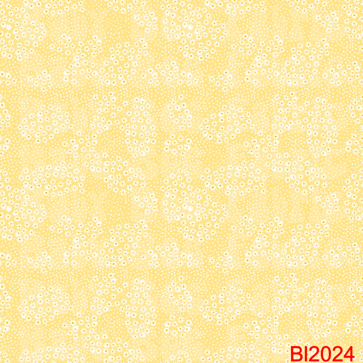 BL2024