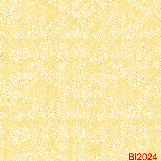 BL2024