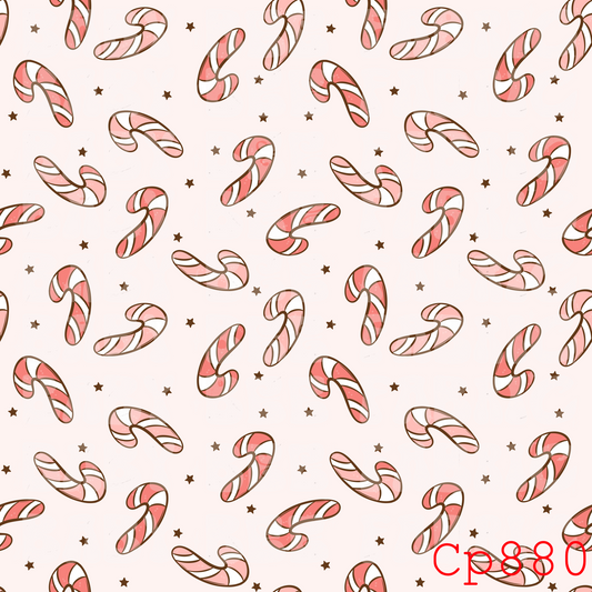 CP880