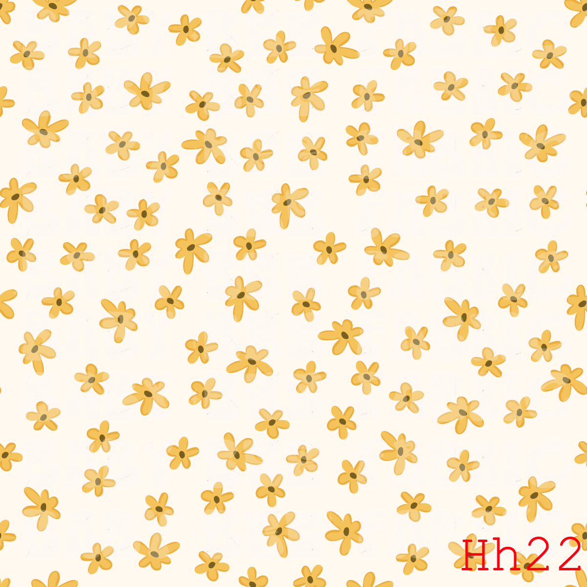 HH22