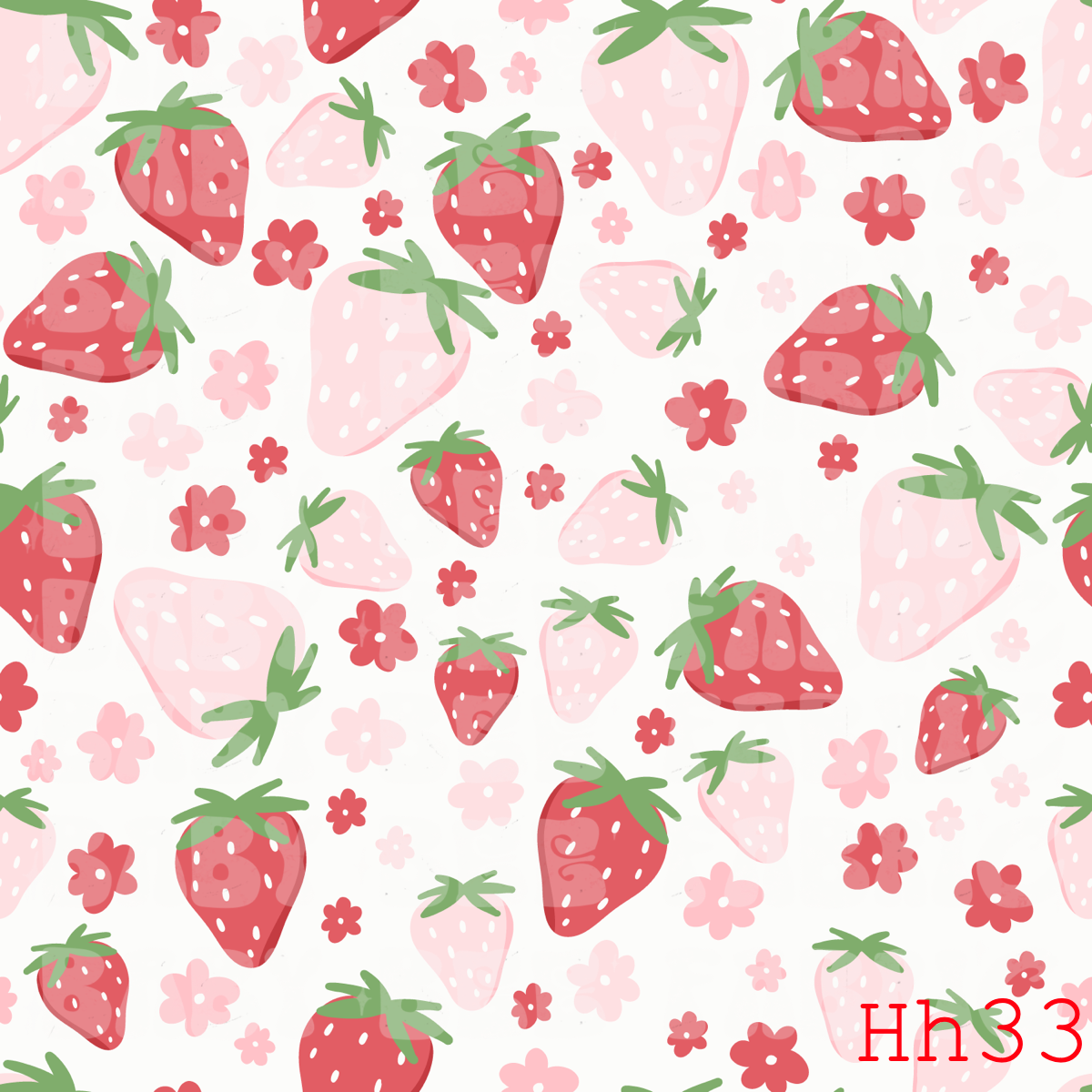 HH33