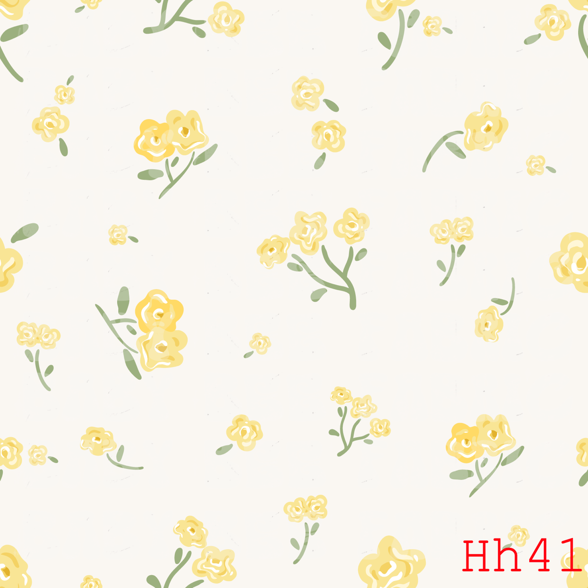 HH41
