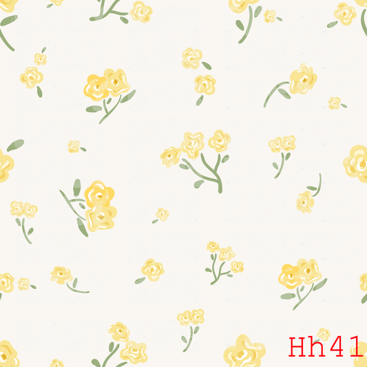 HH41