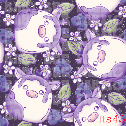 HS45