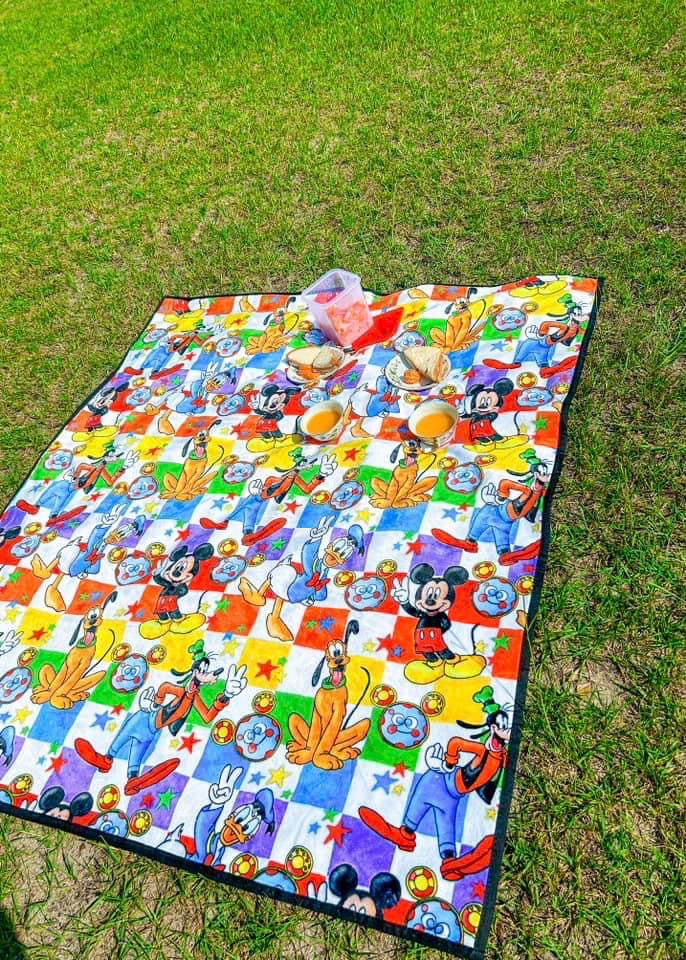50x60 Picnic/Play Mat With Waterproof Backing
