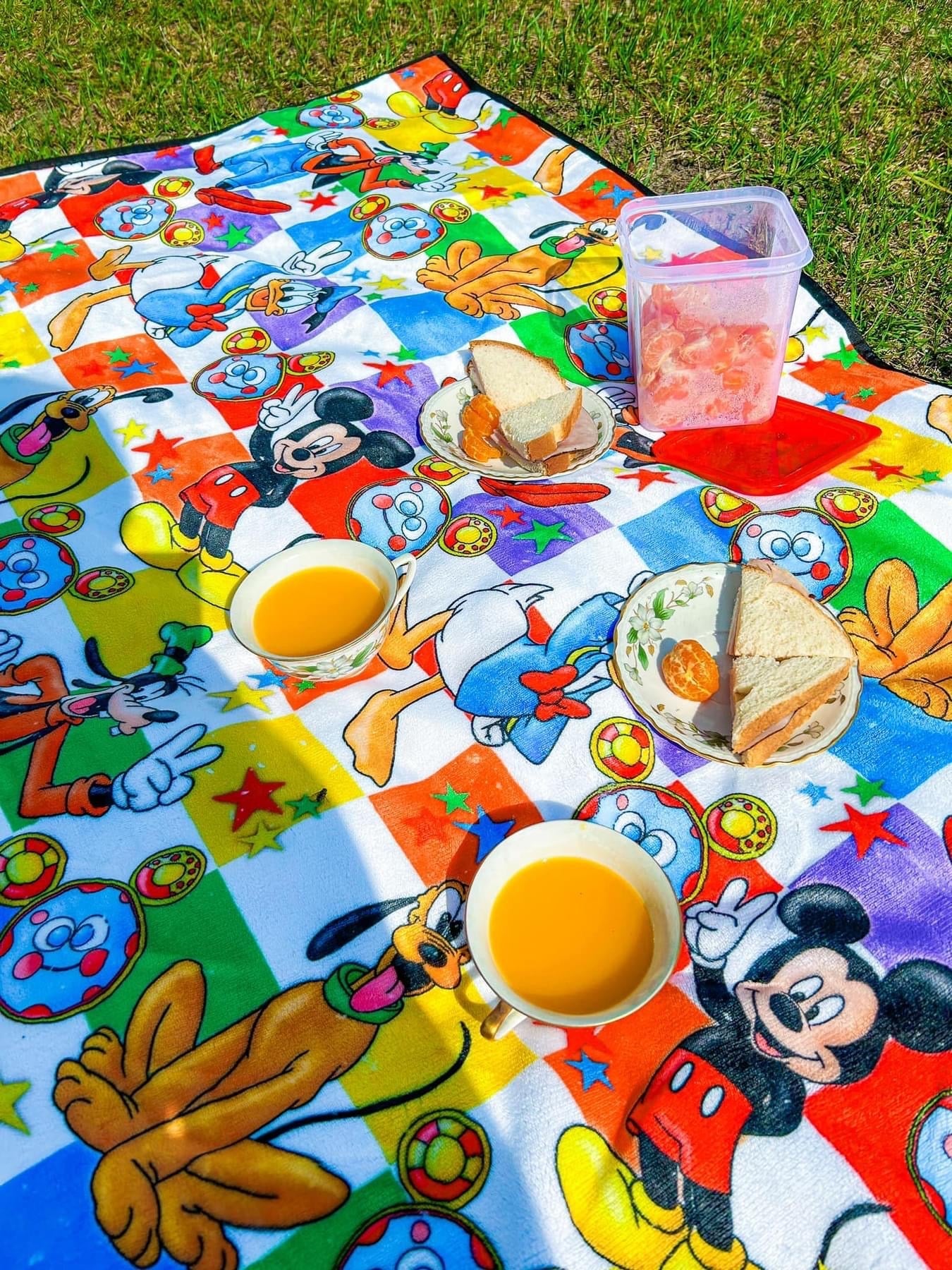 50x60 Picnic/Play Mat With Waterproof Backing