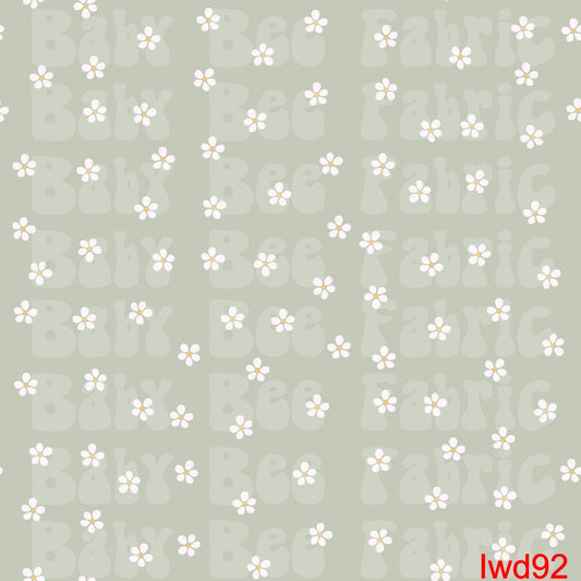 IWD92