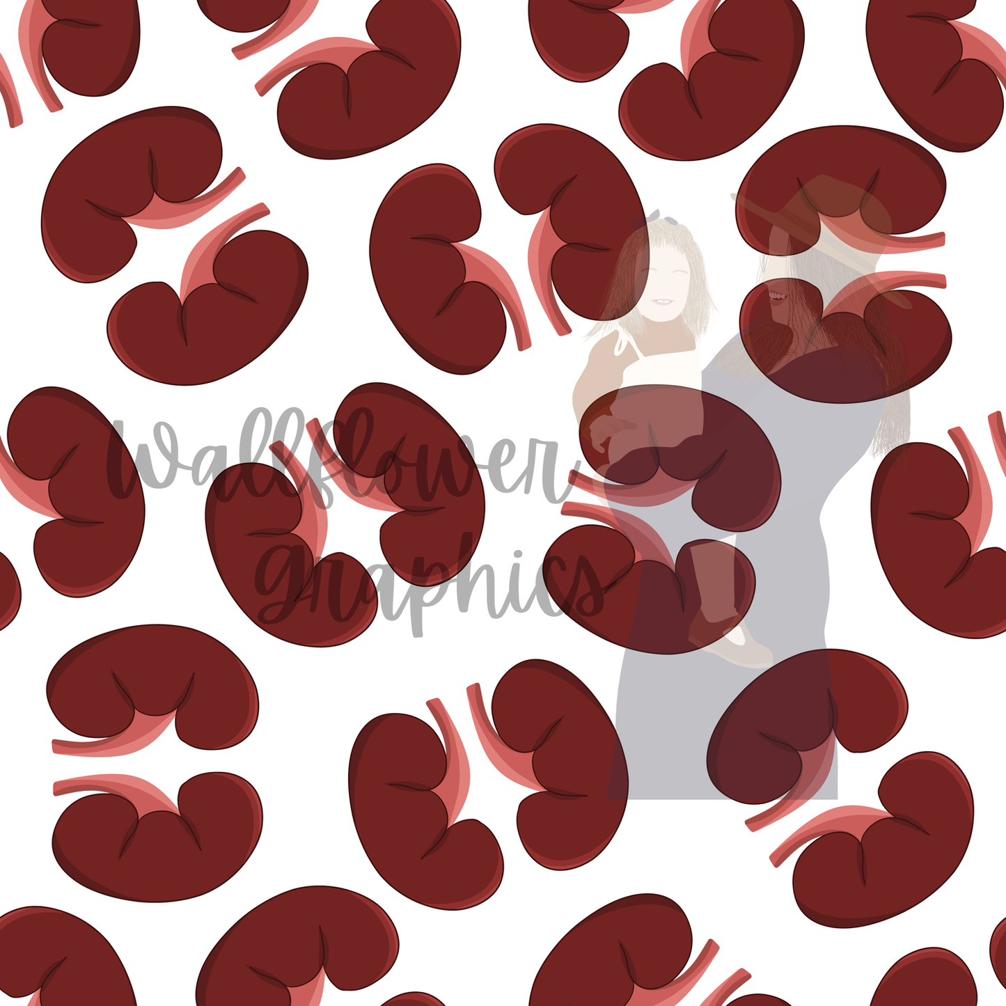 Kidneys