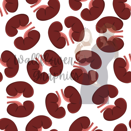 Kidneys
