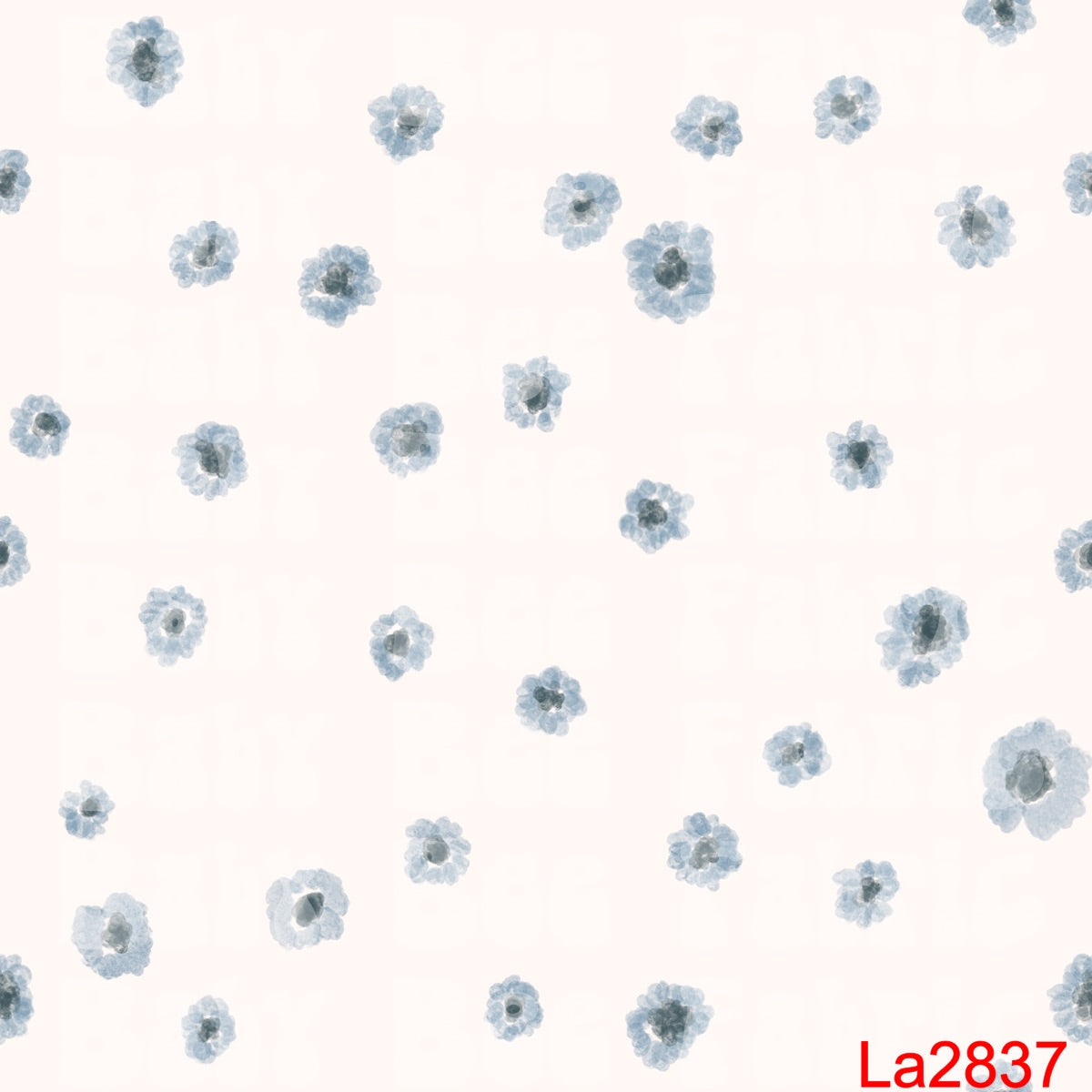LA2837