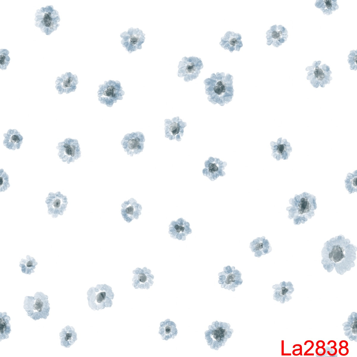 LA2838