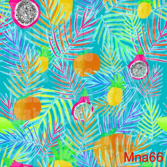 MNA66