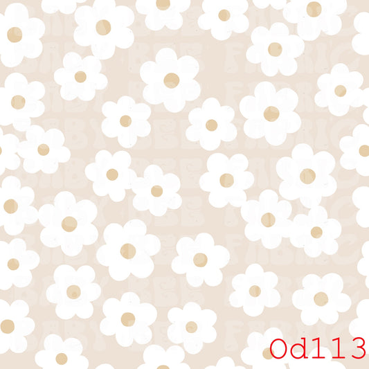 OD113