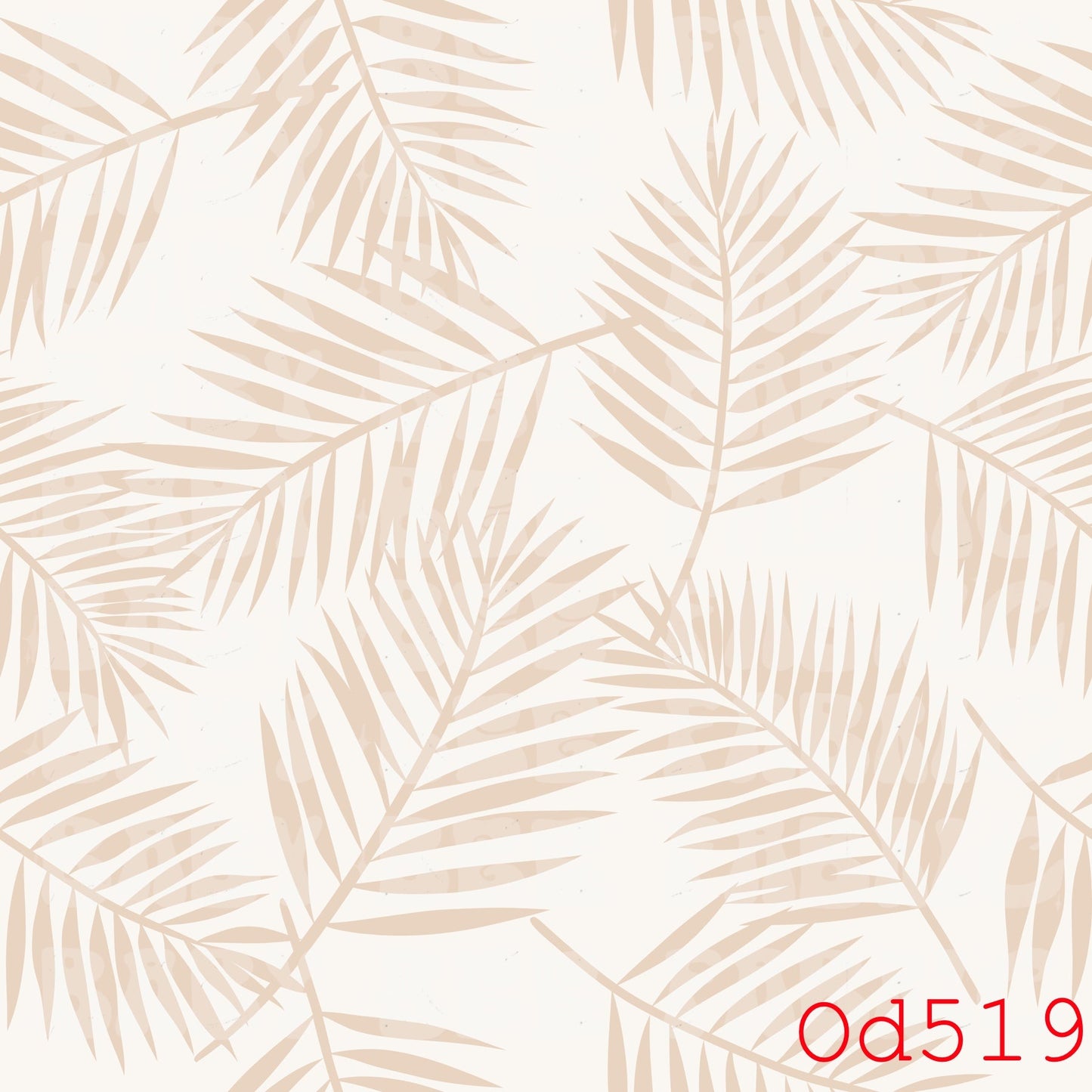 OD519