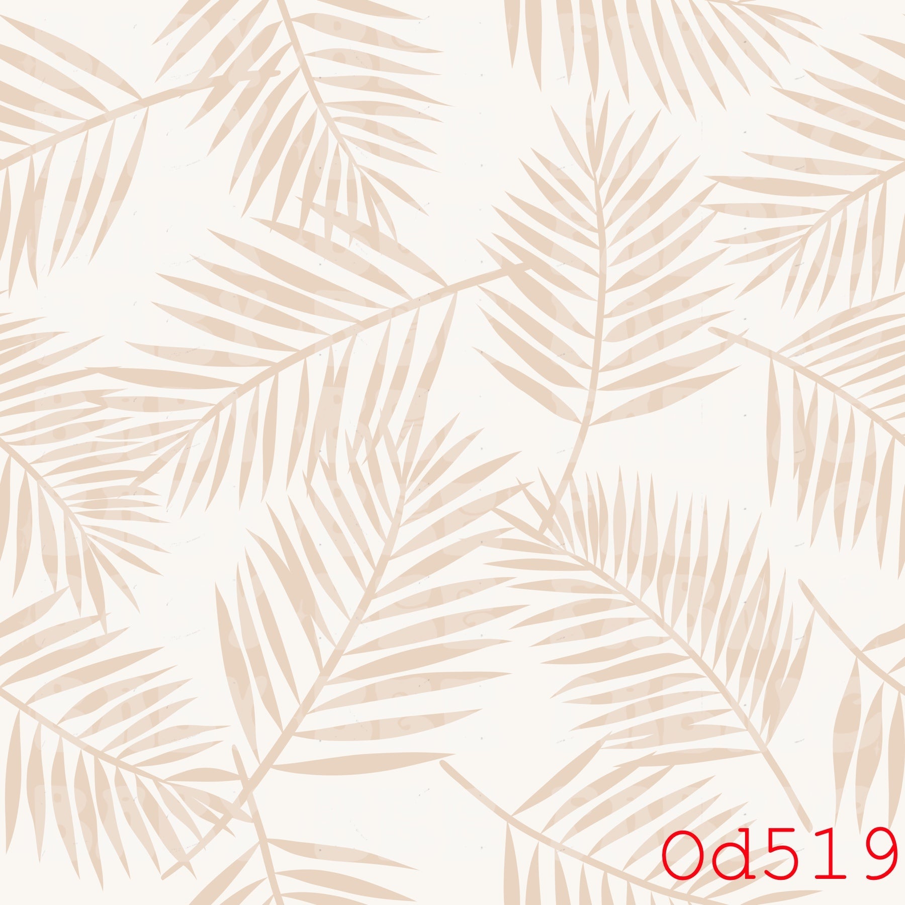 OD519