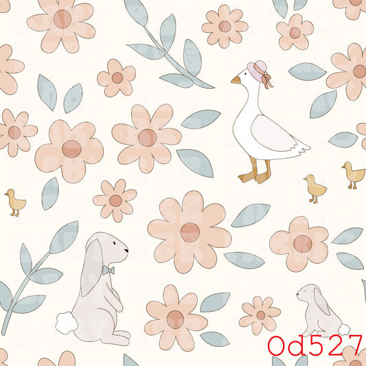 OD527