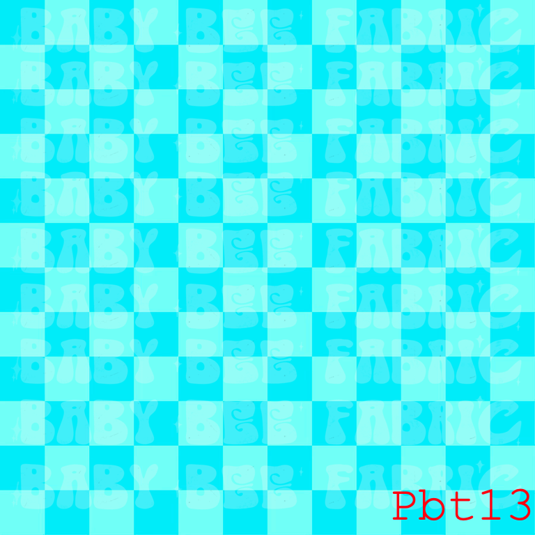 PBT13