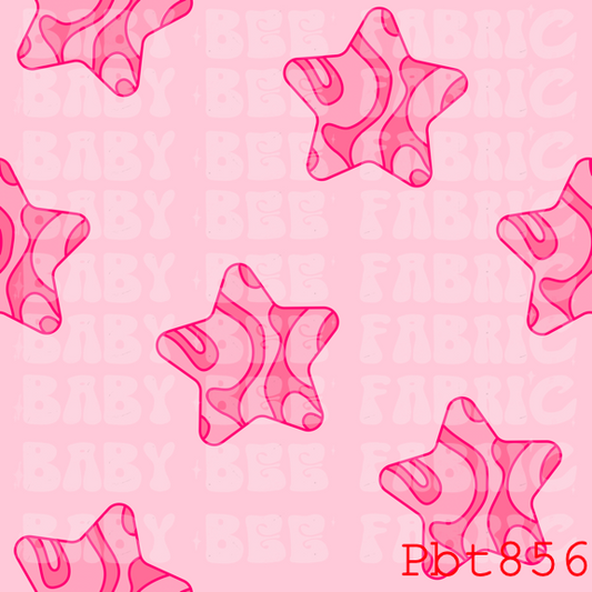 PBT856