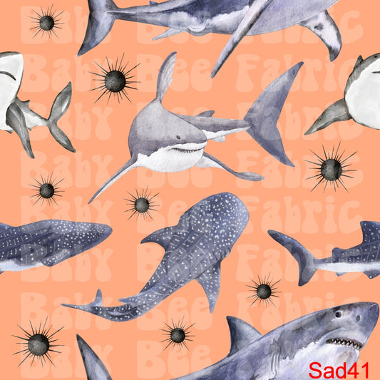 SAD41