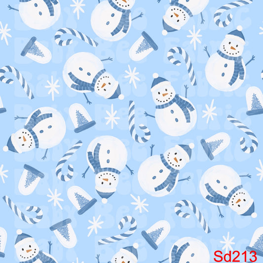 SD213