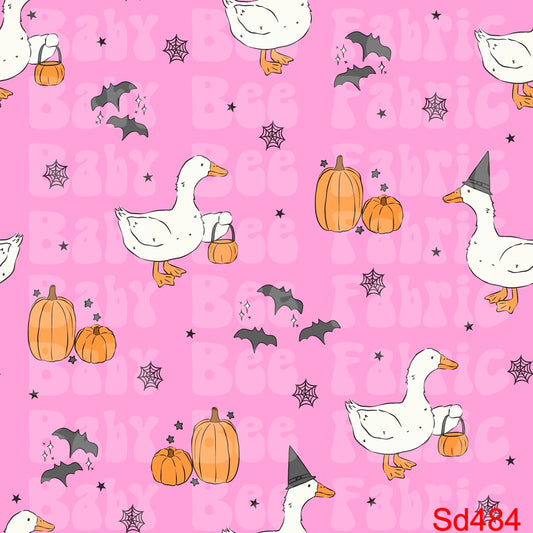 SD484