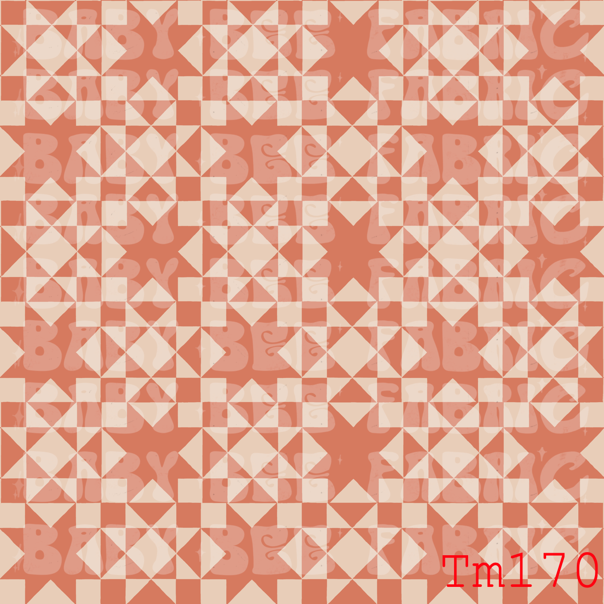 TM170