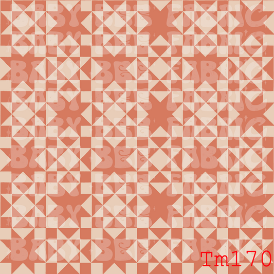 TM170