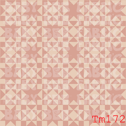 TM172