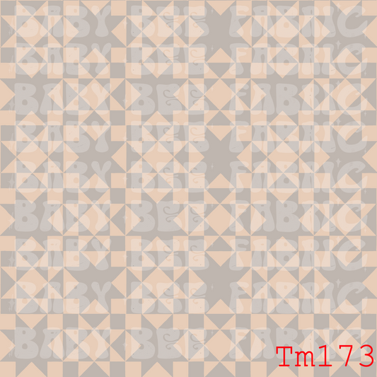TM173