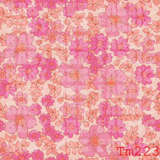 TM223