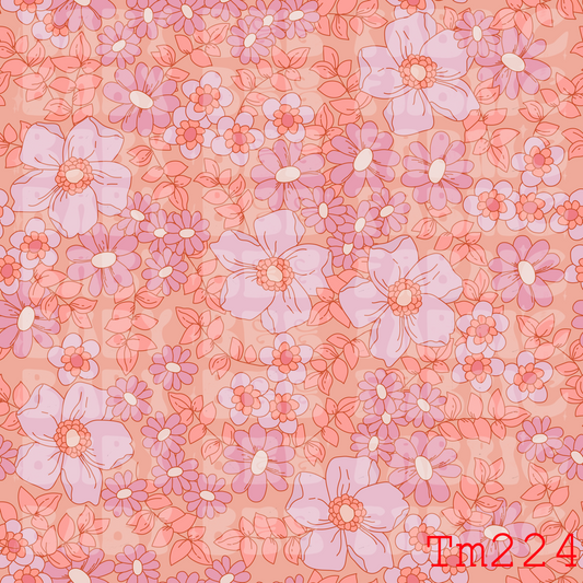 TM224