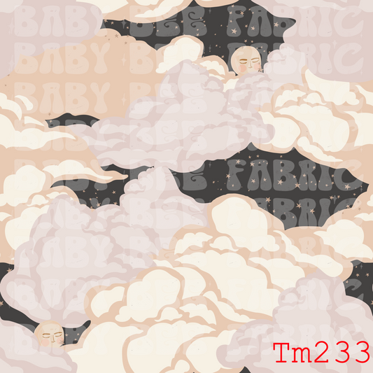 TM233