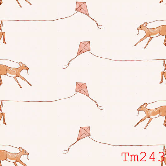 TM243